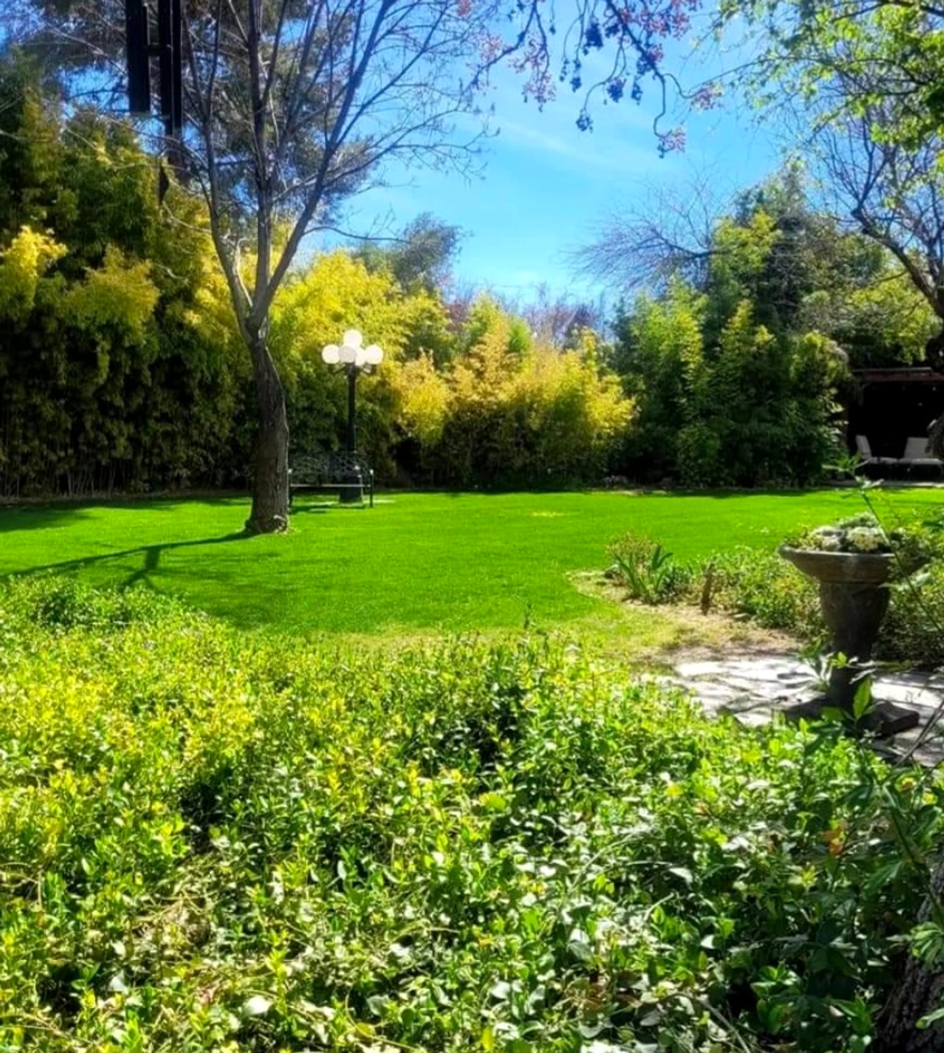 The lawn, the flagstone and the garden beds.