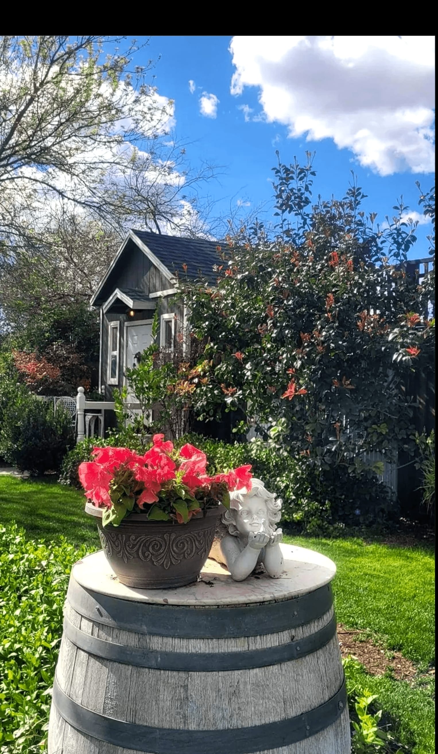 The Tea House cottage, framed by flowering shrubs.